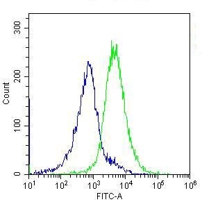 Cells : Raji Antibody : CD86 M167 (green) Isotype control : Mouse IgG2b (blue)